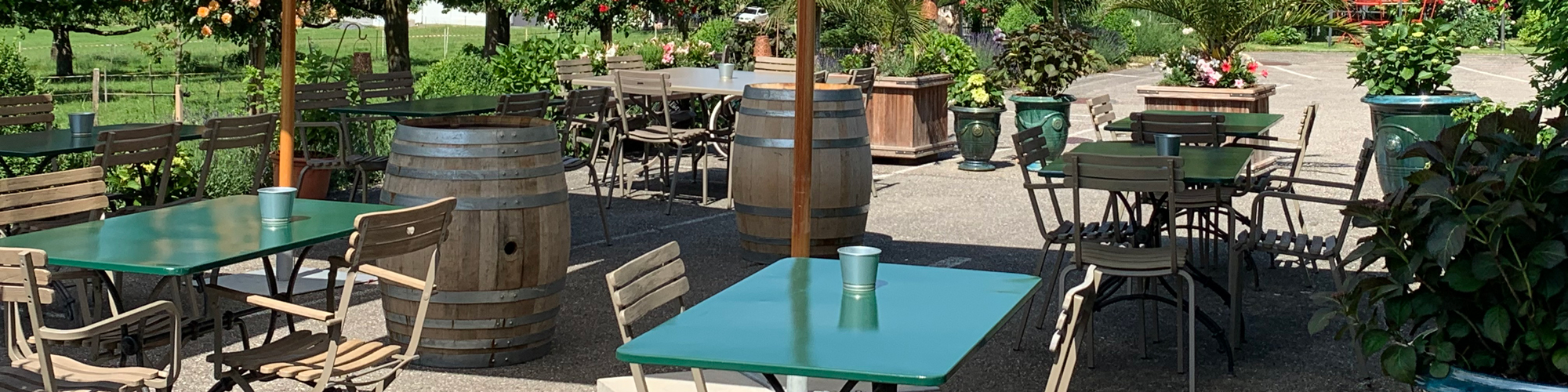 Unsere Sommerterrasse 2019